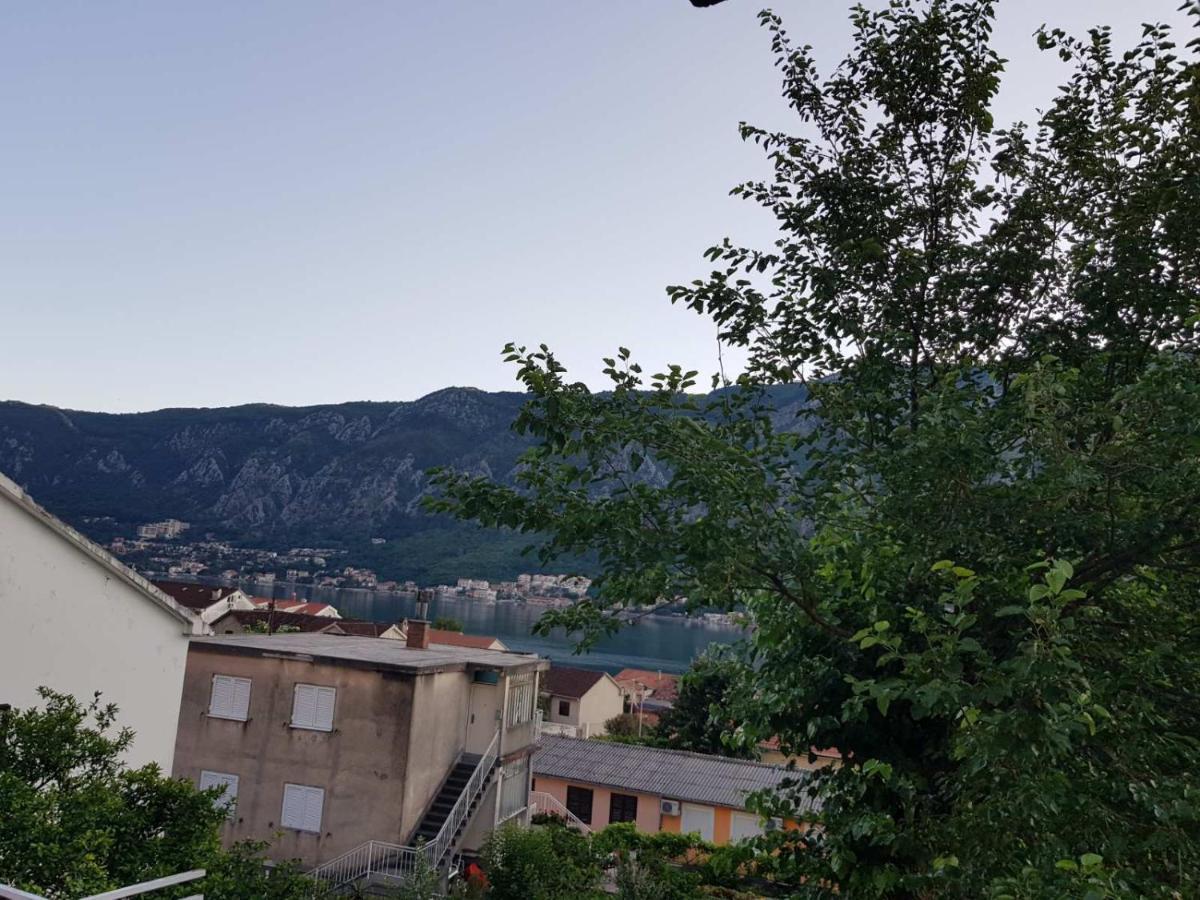 Modern Apartment Doris Kotor Extérieur photo